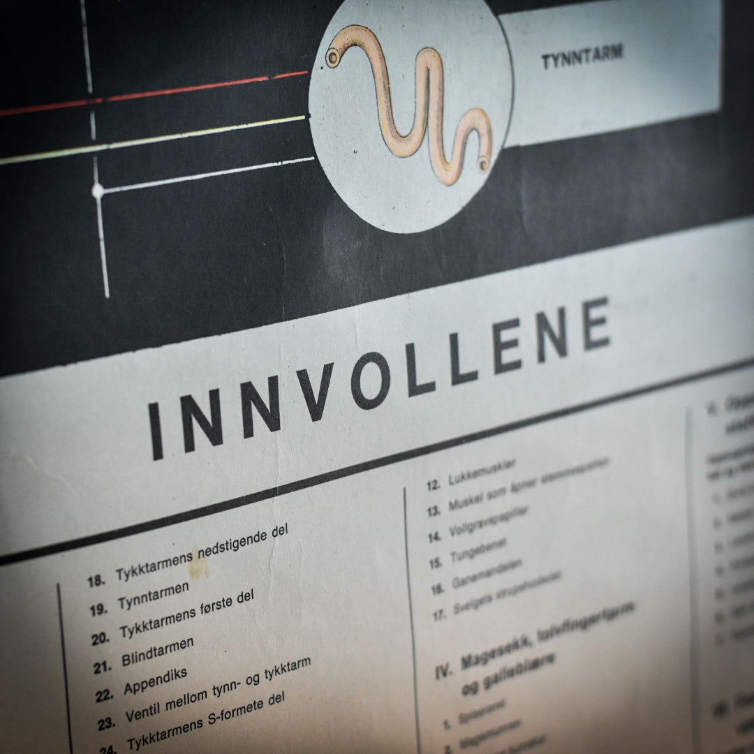 Vallardi Milano «Innvollene” education poster