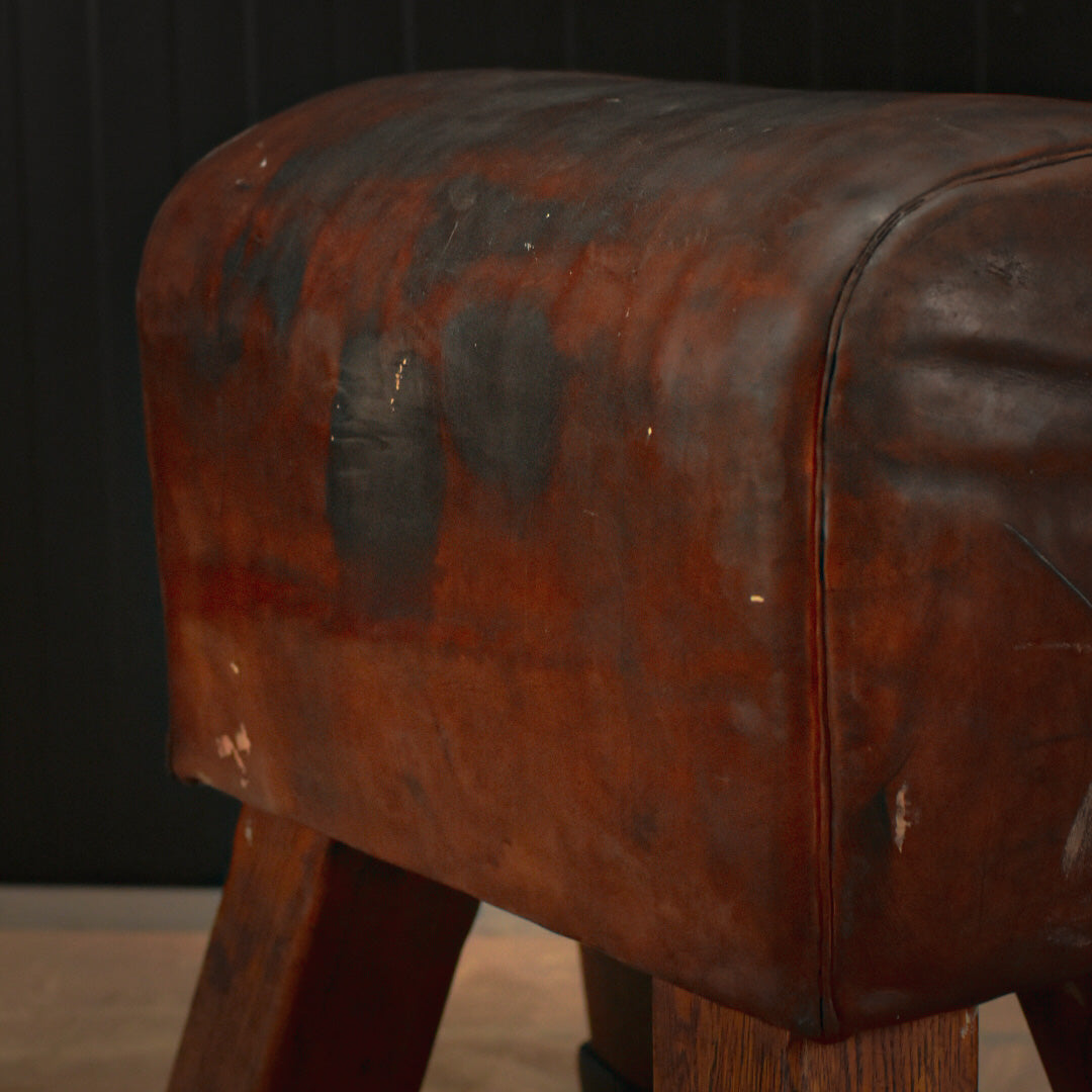 Vintage pomel horse 1920s