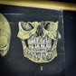 Vallardi Milano  «Muscles and Skeleton» education poster
